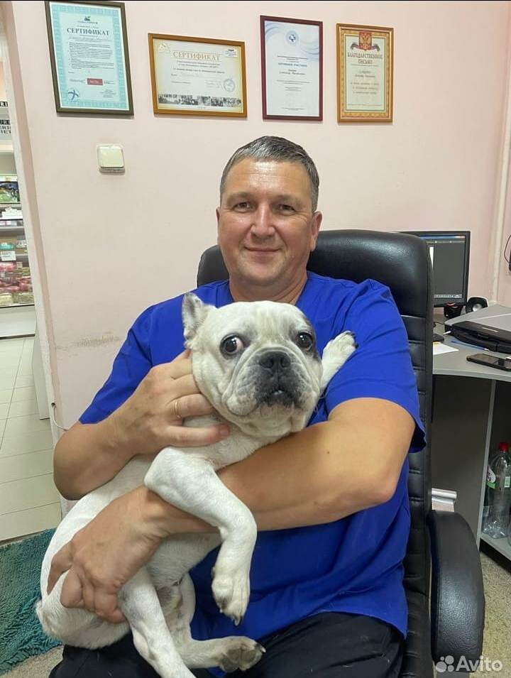 Александр Михайлович Даценко