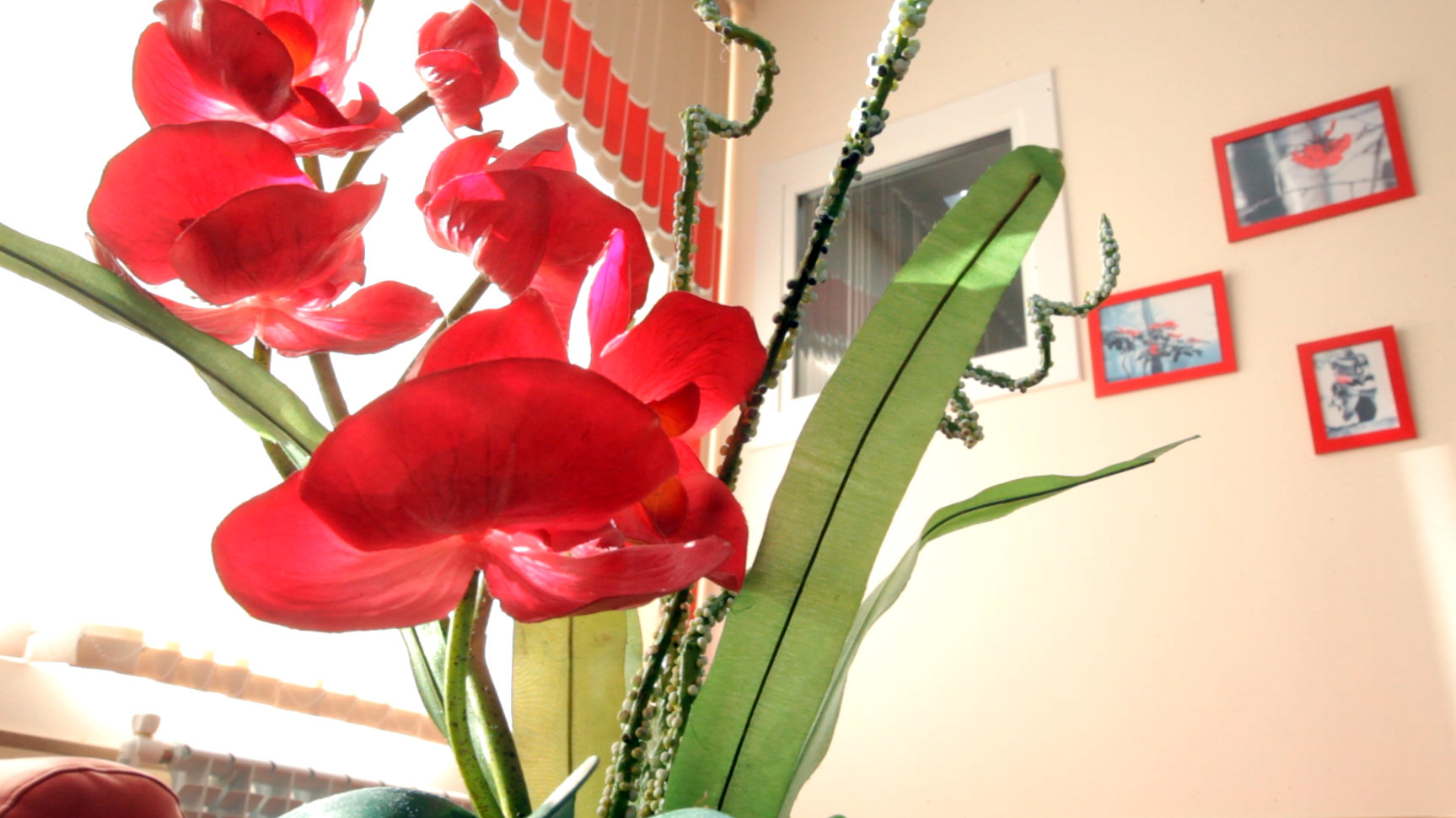 Галина Владимировна Николаева