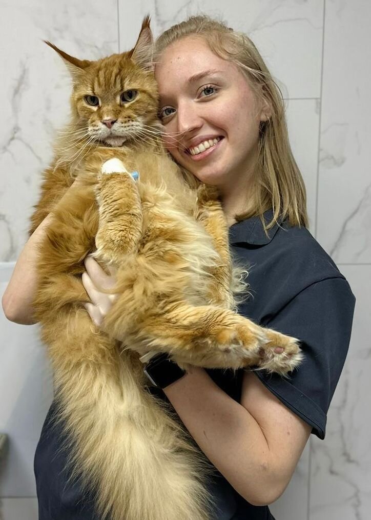 Анна Кирилловна Светлова