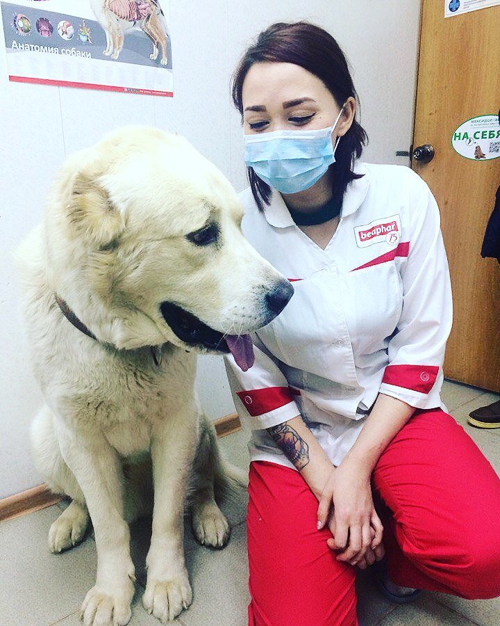 Гульсина Гайнулловна Елейник