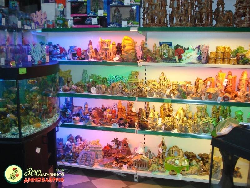 Зоомагазин с животными в москве. Зоомагазин изнутри. Зоомагазин москва четыре лапы животных. Самый большой зоомагазин. Зоомагазин с экзотическими животными.