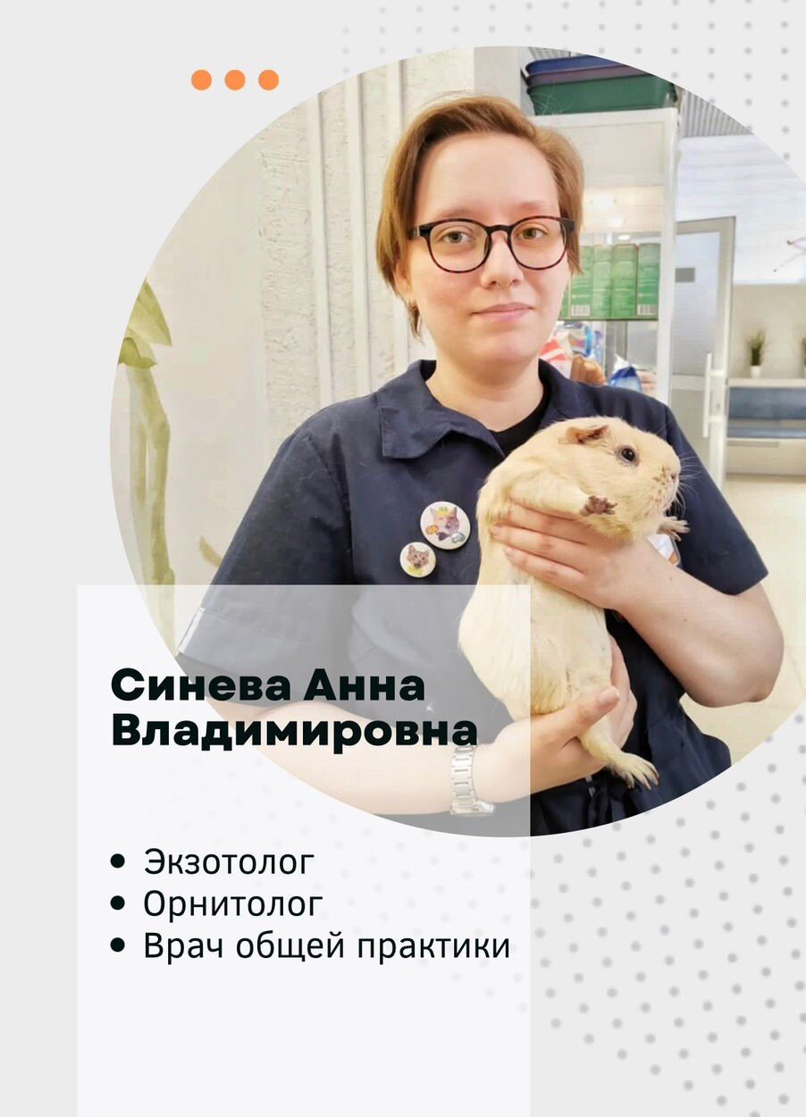 Анна Владимировна Синева
