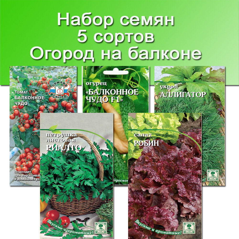 Садовые магазины в Нижнем Новгороде рядом со мной – Купить все для сада:  157 магазинов на карте города, 51 отзыв, фото – Zoon.ru