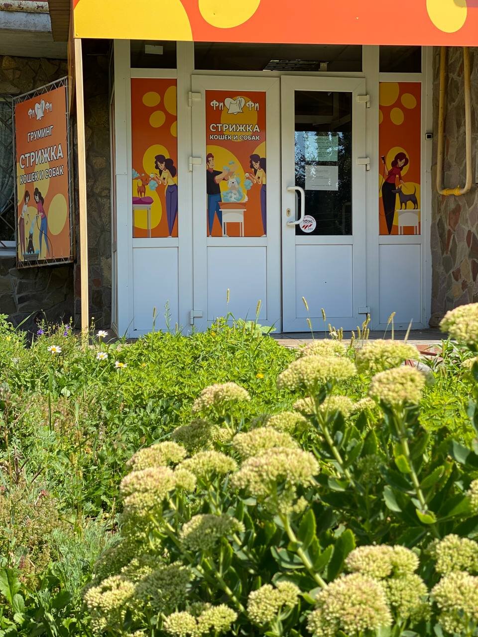 Груминг-салоны в Курске: цена от 129 руб., 36 ветеринарных клиник, 106  отзывов, фото, рейтинг зоосалонов – Zoon.ru