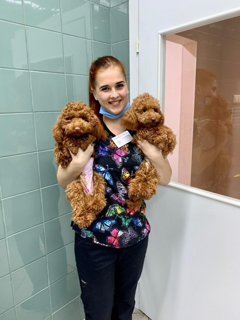 Евгения Михайловна Никифорова