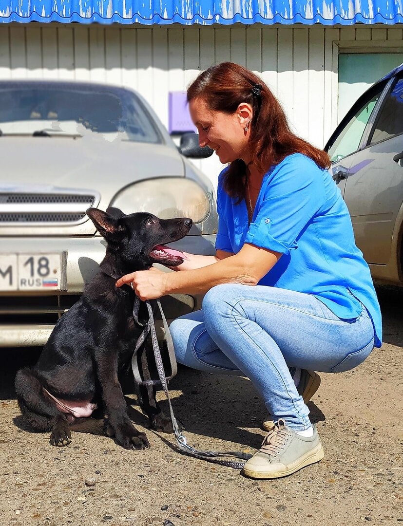 Консультация ветеринара онлайн в Ижевске – Дистанционная консультация  ветеринара: 10 ветеринарных клиник, 461 отзыв, фото – Zoon.ru