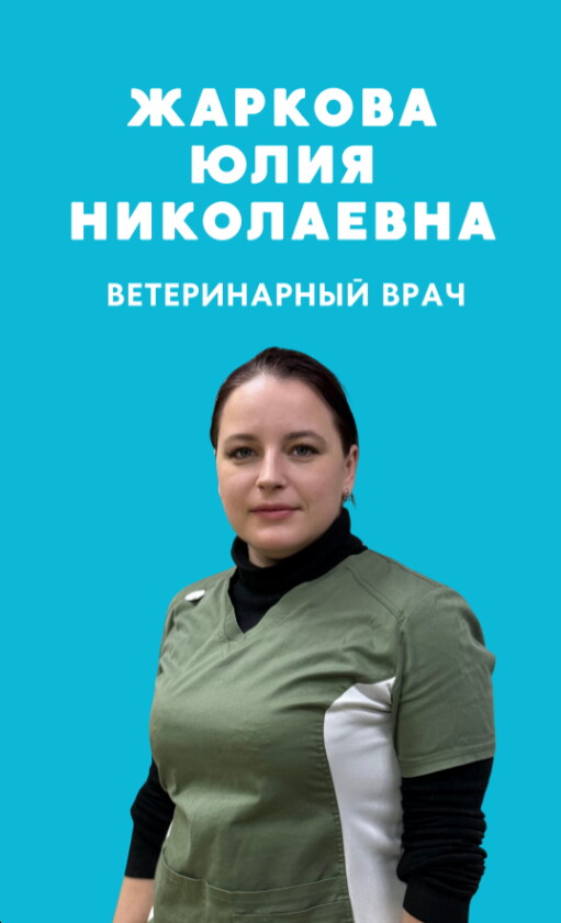 Юлия Николаевна Жаркова
