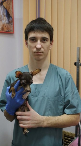 Тимур Марселович Лантаев