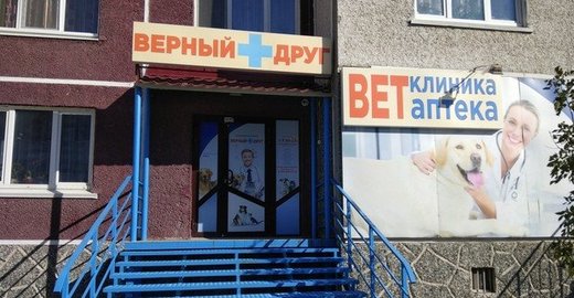 сборника ветеринарная клиника верный друг тюмень отзывы сожалению, подошвы обуви
