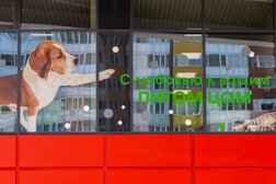 Ветеринарная клиника Котонай, с рейтингом 4.5 - находится по адресу Санкт-Петербург, Пушкинский район, посёлок Шушары, Новгородский проспект, 3с5 