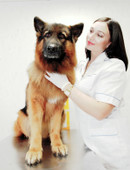 Богачук Ксения Дмитриевна