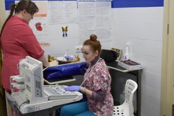 Ветеринарная клиника доктора Алиева, с рейтингом 3.1 - находится по адресу Московская область, городской округ Красногорск, рабочий посёлок Нахабино, Институтская улица, 17А, стр. 2 