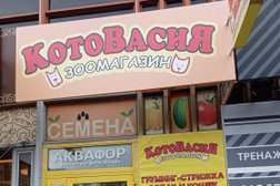 Зоосалон КотоВасия, с рейтингом 4.1 - находится по адресу Екатеринбург, улица Академика Бардина, 21а 