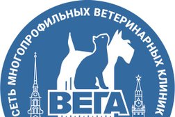 Ветеринарная клиника Вега, с рейтингом 4.2 - находится по адресу Санкт-Петербург, Планерная улица, 47 к1 
