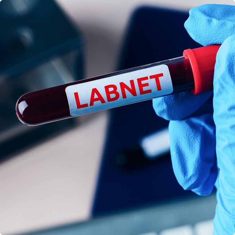 Labnet по адресу Сургут, Майская, 6/1 - отзывы, фото, цены, телефон и ...