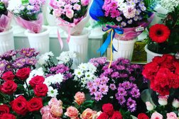 Салон цветов Romantic, с рейтингом 3 - находится по адресу Усть-Каменогорск, Виноградова, 19а/3 киоск 