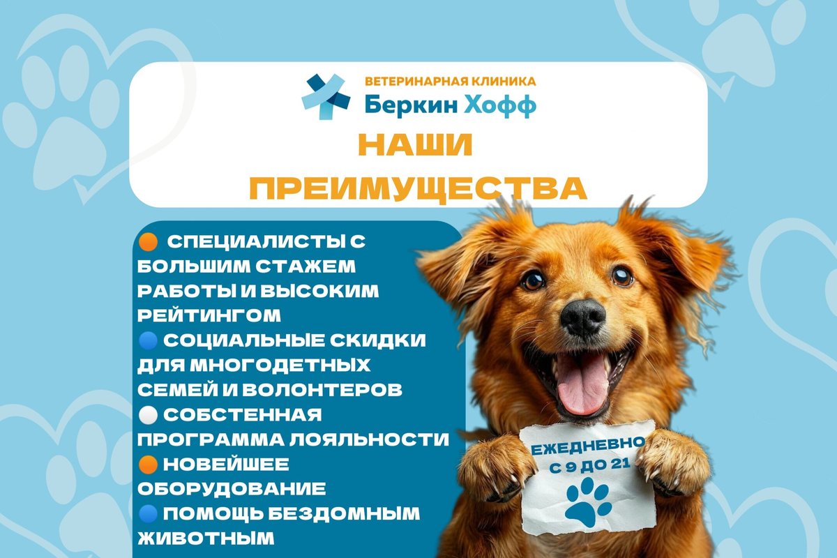 фотография Ветеринарной клиники Беркин хофф на Нарвской улице