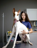 Аннушкина Татьяна Дмитриевна