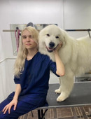 Медведева Елизавета