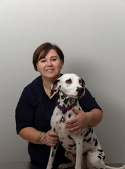 Ветеринар, ветеринарный врач-терапевт Анна Владимировна Чилимова