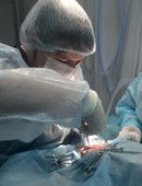 Кашина Анна Сергеевна