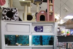 Зоомагазин на улице Кирова 7 в Батайске, с рейтингом 3.4 - находится по адресу Ростовская область, Батайск, улица Кирова, 7 