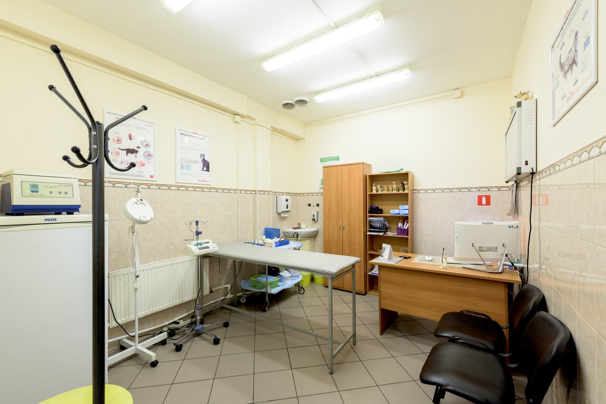 Специалисты Ветеринарной клиники СитиВет на улице Демьяна Бедного ...