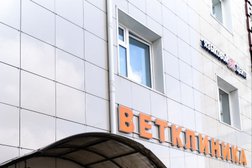 VetSpa центр здоровья животных