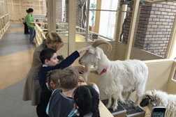 Зоодом Страна Енотия, с рейтингом 4.5 - находится по адресу Москва, 3-я Парковая улица, 48 