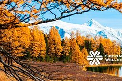 Компания Siberian Wellness, с рейтингом 2 - находится по адресу Нур-Султан (Астана), улица Динмухамеда Кунаева, 14 