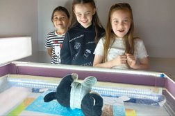 Студия мультипликации, творчества и праздников ВидимоНевидимо, с рейтингом 5 - находится по адресу Челябинск, Коммуны, 139 