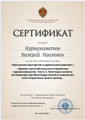сертификат/документ Адвоката Нурмухаметов Валерий Наилевич в Советском районе