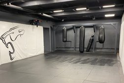 Академия единоборств Lion academy, с рейтингом 4.5 - находится по адресу Пенза, проспект Строителей, 81а 