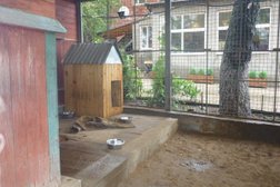 Приют для животных Help Dog, с рейтингом 3.3 - находится по адресу Москва, Ленинградское шоссе, 370 