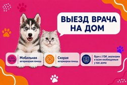 Выездная ветеринарная служба ЗООВЕТ-Дом, с рейтингом 4.9 - находится по адресу Московская область, Мытищи, проспект Астрахова, 6 