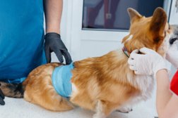 Зооветсервис