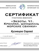 Кузнецов Сергей Николаевич