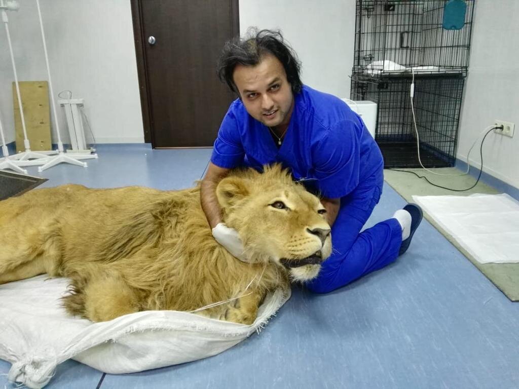 Баттарай Бишал – ветеринар, ветеринарный невролог, невролог – 108 ...