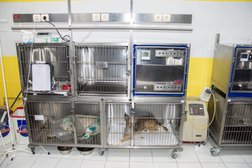 Ветеринарная клиника доктора Чулковой Г.Б., с рейтингом 3.4 - находится по адресу Волгоград, улица Генерала Ватутина, 19а 