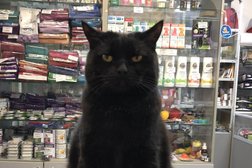 Клиника Доктор Vet, с рейтингом 4.1 - находится по адресу Саратов, проспект Энтузиастов, 26а 