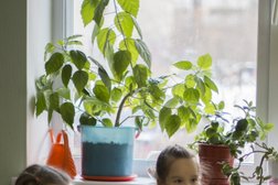 Центр развития детей Разные дети, с рейтингом 4.2 - находится по адресу Екатеринбург, Посадская улица, 34 