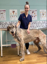 Ветеринарный врач-терапевт Лада Алексеевна Мурадова