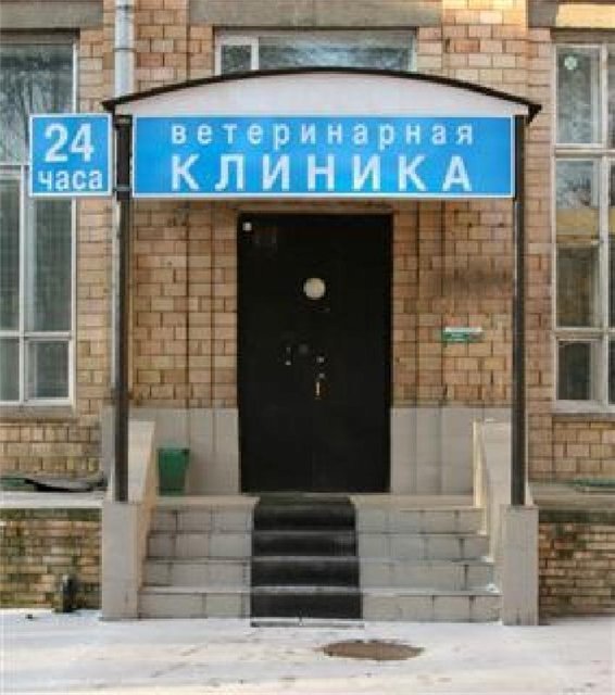 Ул московская 104 орел. Октябрьская 47а орел ветклиника. Ветклиника в орле круглосуточно. Ветклиника лыткарино. Ветклиника в орле круглосуточно.