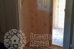 Планета дерева