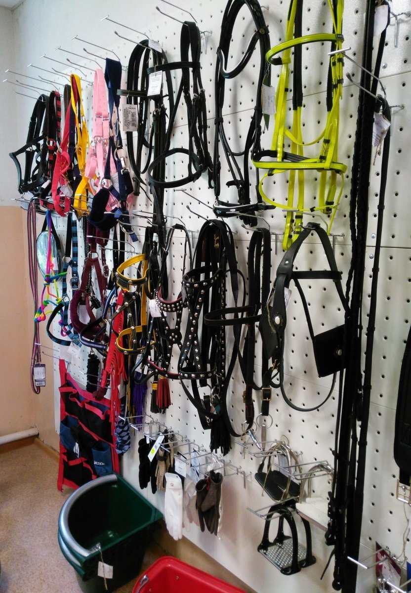 магазин технологии спорта. конный магазин технология. эквивет конный магазин. магазин технологии.