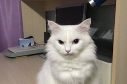 Клиника Доктор Айболит, с рейтингом 2.4 - находится по адресу Павлодар, Естая, 106 