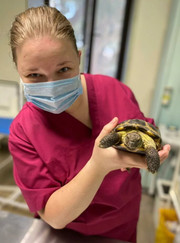 Ратолог, ветеринар Марина Михайловна Пискаева