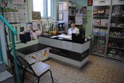 Ветеринарная клиника Dобрый Dоктор, с рейтингом 3.3 - находится по адресу Краснодар, 2-я линия, 190 