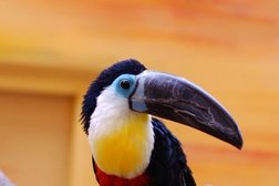 Зоопарк Детский эколого-биологический центр, с рейтингом 3.9 - находится по адресу Омск, улица Маршала Жукова, 109/1 