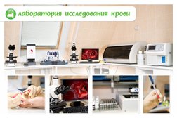 Медицинский центр Здоровье, с рейтингом 3.3 - находится по адресу Курган, 1 Мая улица, 21Б 